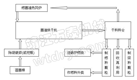 澳门财神app官网