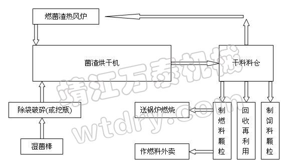 澳门财神app官网